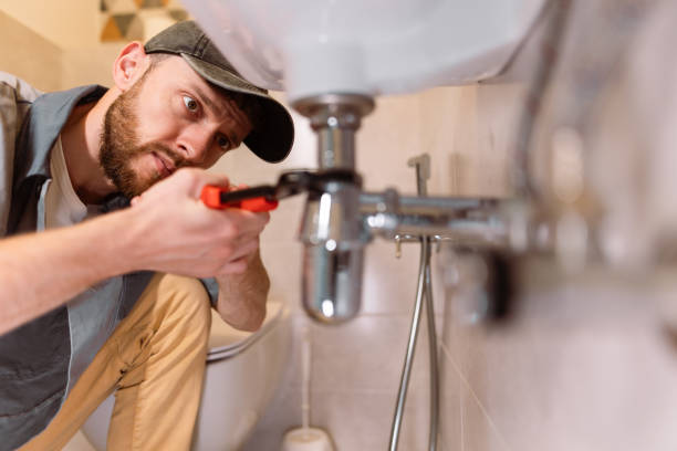 Best Plumbing Services Near Me  in Palm Harbor, FL