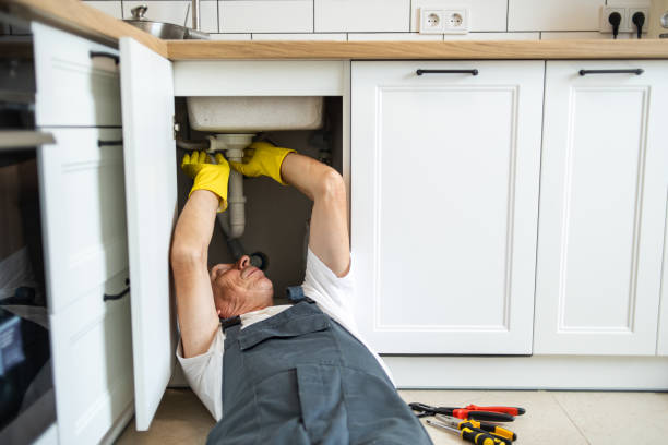 Best Pipe Repair Near Me  in Palm Harbor, FL