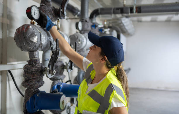 Best Residential Plumbing Services  in Palm Harbor, FL