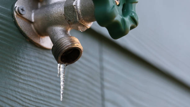 Trusted Palm Harbor, FL Plumbing Experts