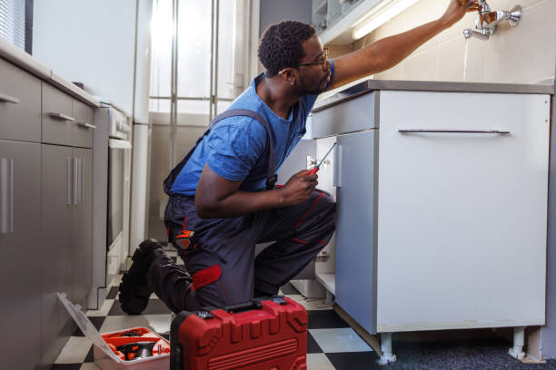 Best Plumbing Inspection Services  in Palm Harbor, FL