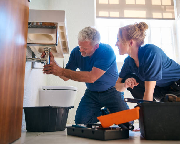 Best Leak Detection Services  in Palm Harbor, FL
